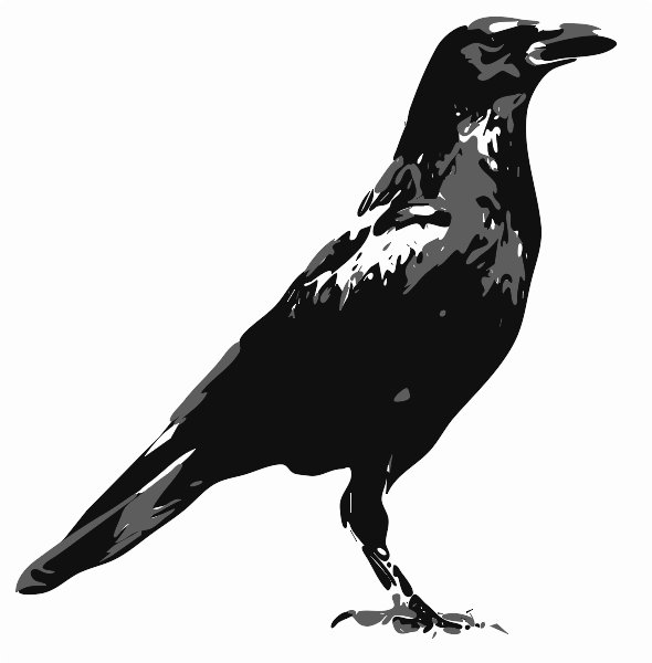 Stencil of Crow