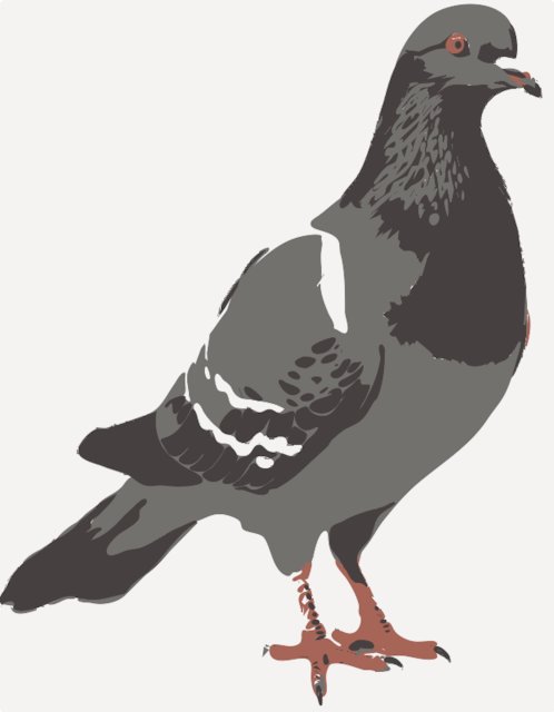 Stencil of Pigeon