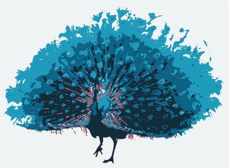 Stencil of Peacock Plumage