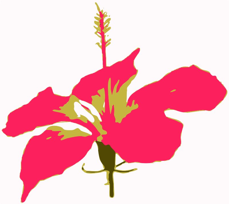 Stencil of Hibiscus