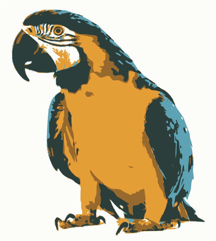 Stencil of Parrot