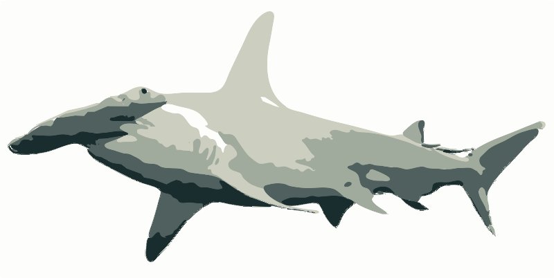 Stencil of Hammerhead Shark