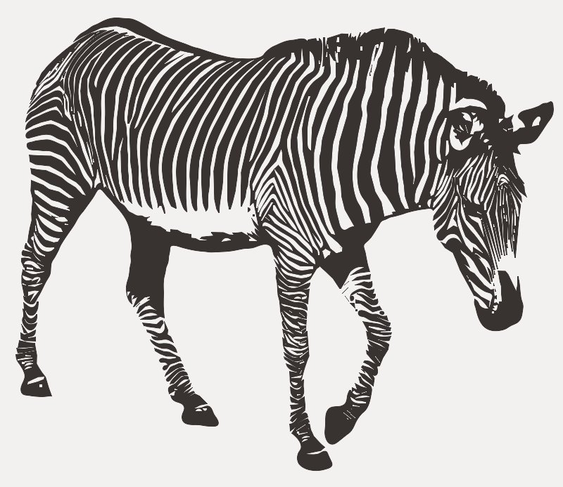 Stencil of Zebra