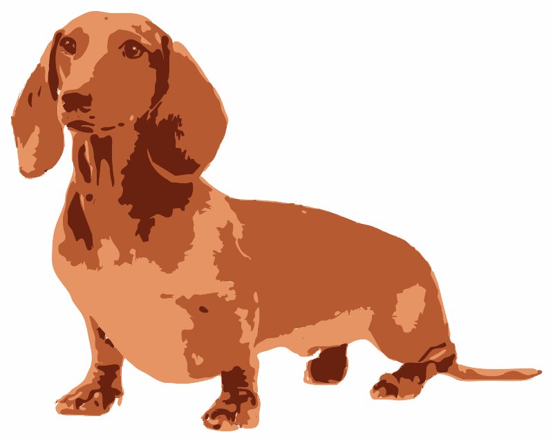 Stencil of Dachshund