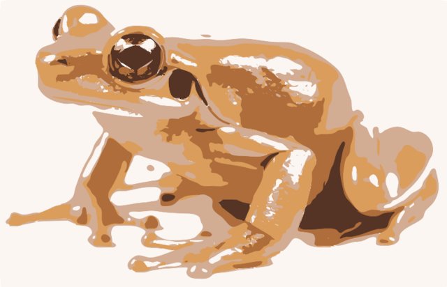 Stencil of Coqui