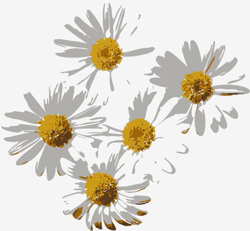 Stencil of Daisies