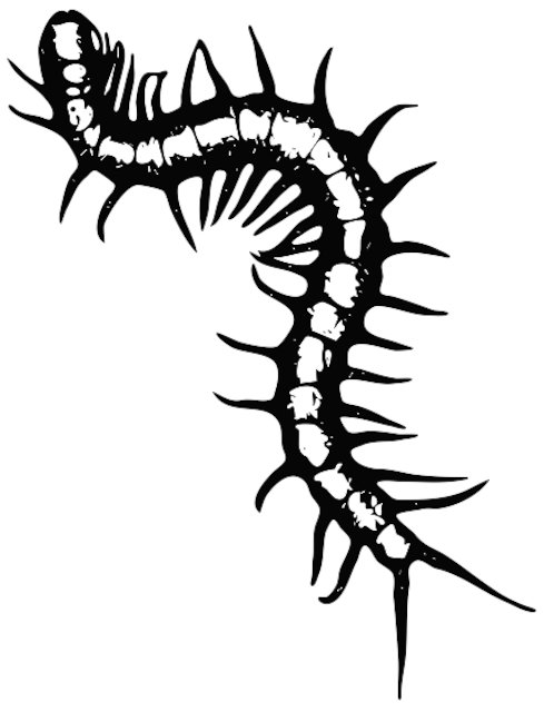 Stencil of Centipede