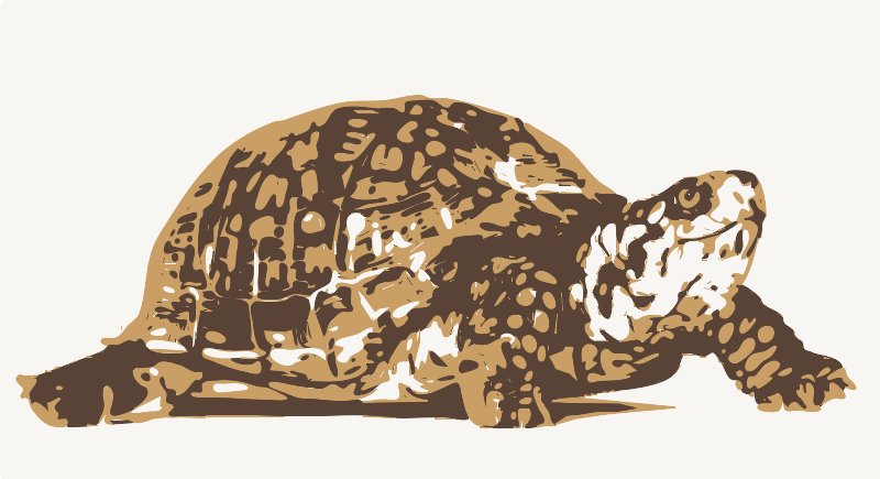Stencil of Turtle