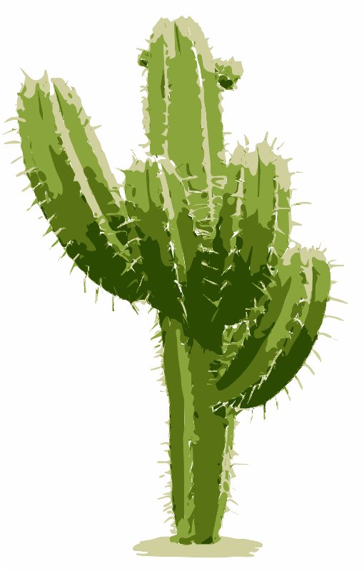 Stencil of Cactus
