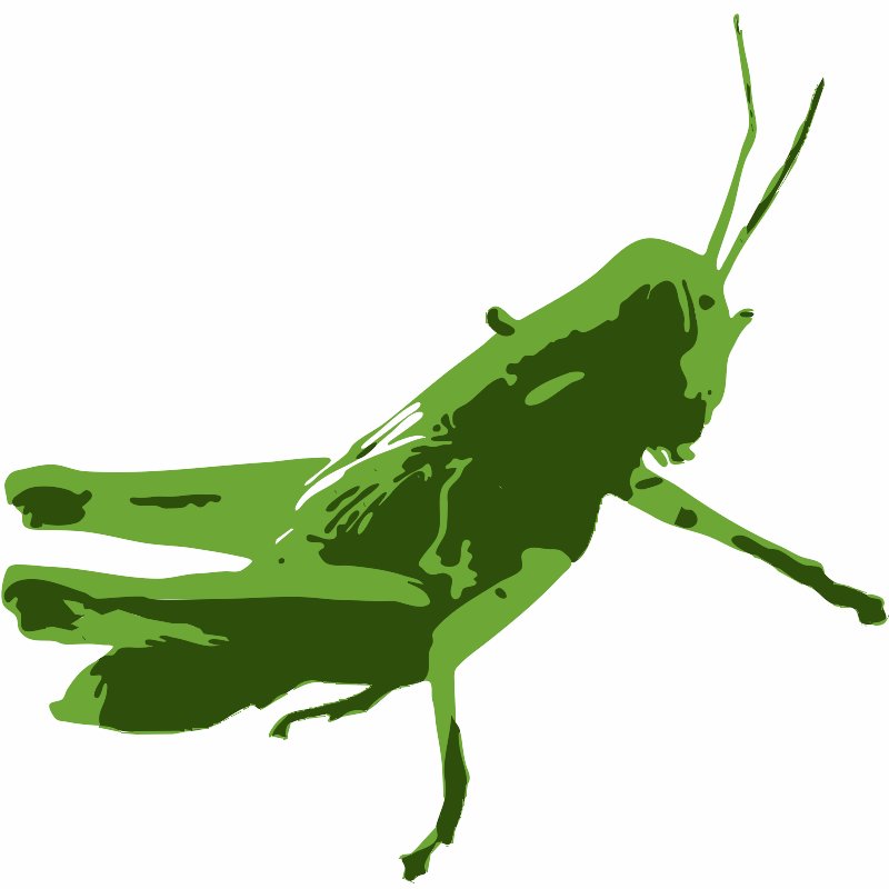Stencil of Grasshopper