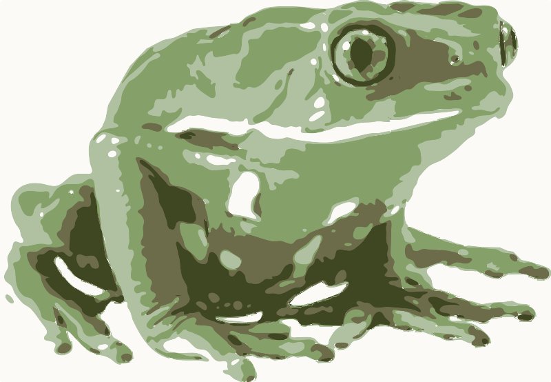 Stencil of Green Frog