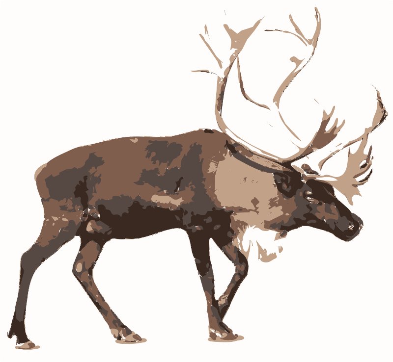 Stencil of Reindeer