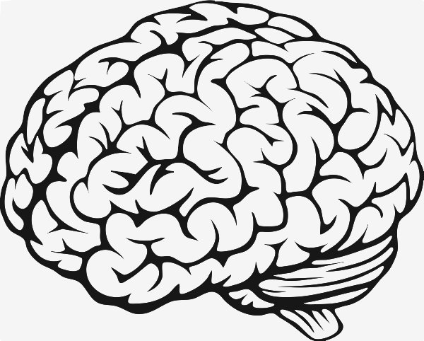 Stencil of Brain