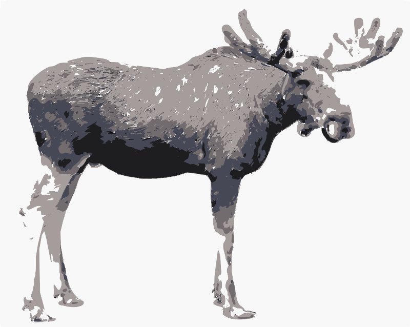 Stencil of Moose