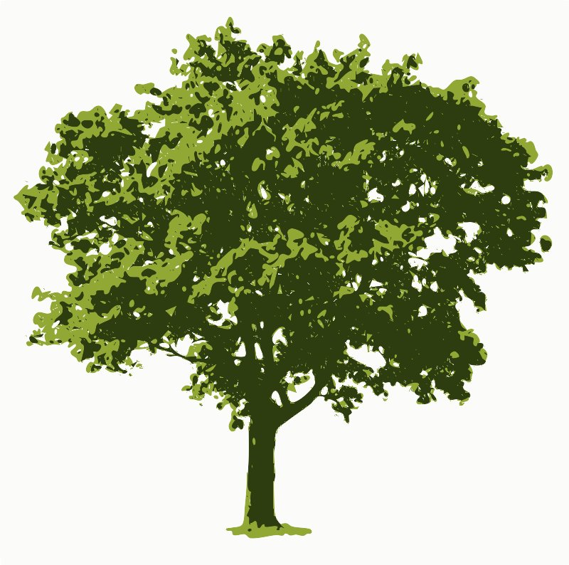 Stencil of Oak Tree