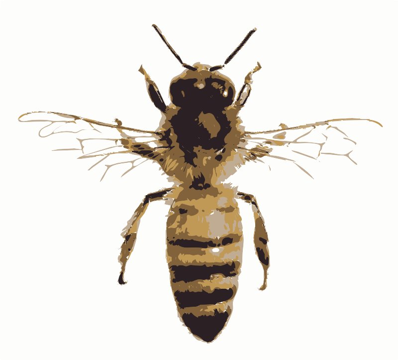 Stencil of Bee