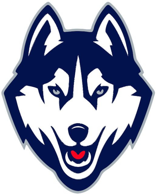 Stencil of UConn Huskies