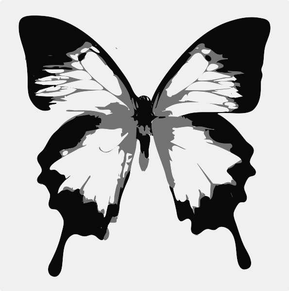 Stencil of Ulysses Butterfly