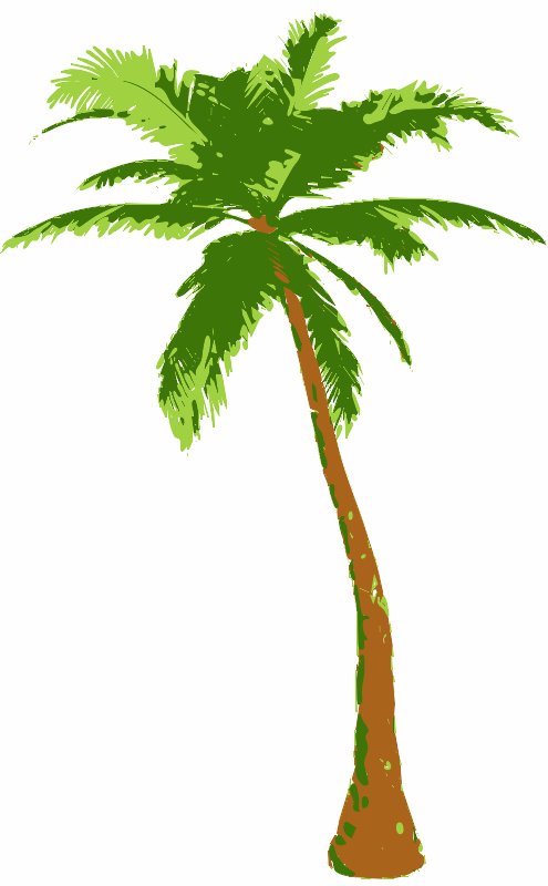 Stencil of Palm Tree