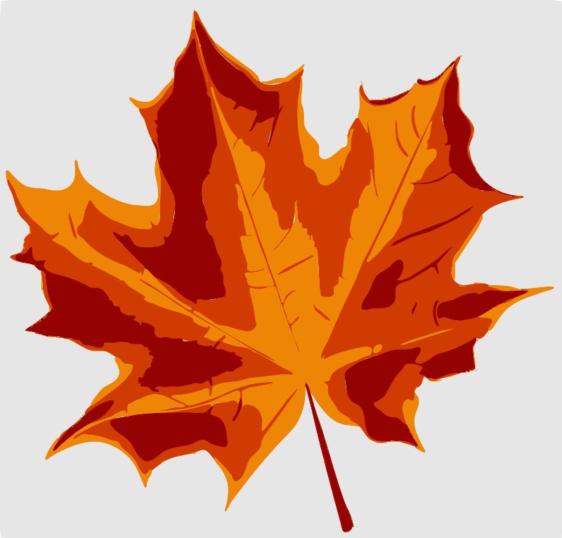Stencil of Maple Leaf