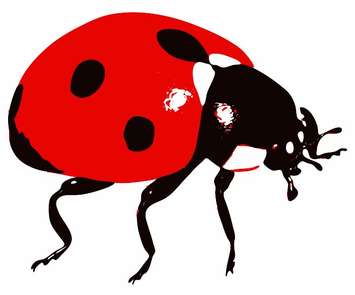 Stencil of Ladybug