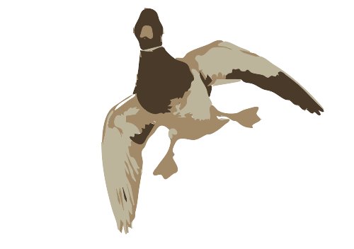 Stencil of Duck