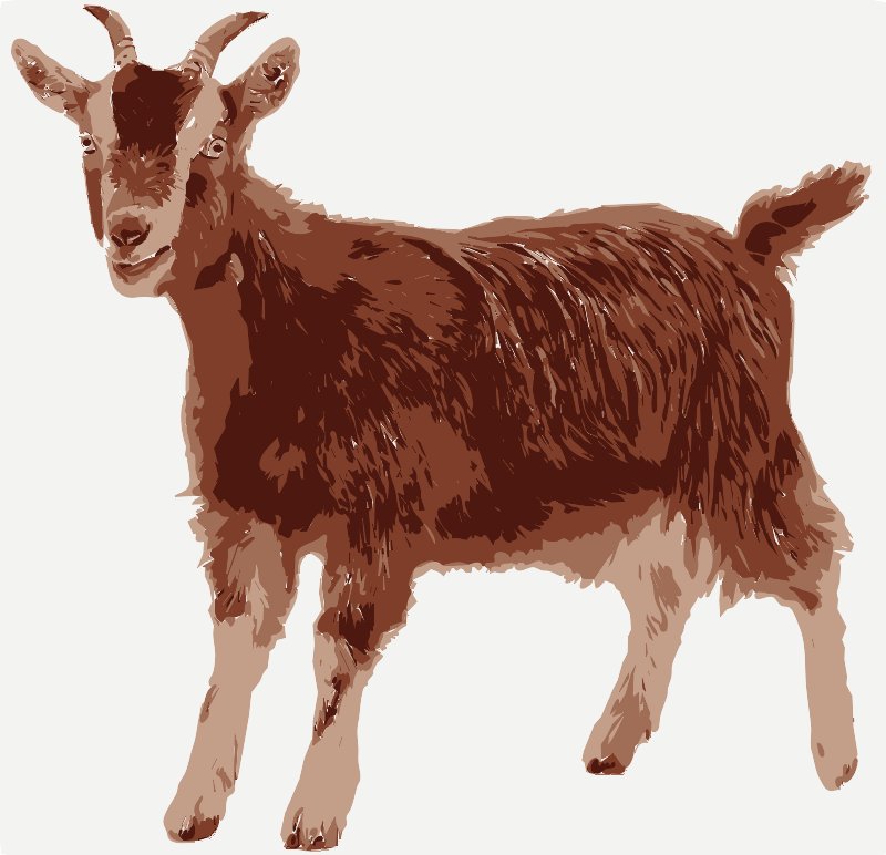 Stencil of Pygmy Goat