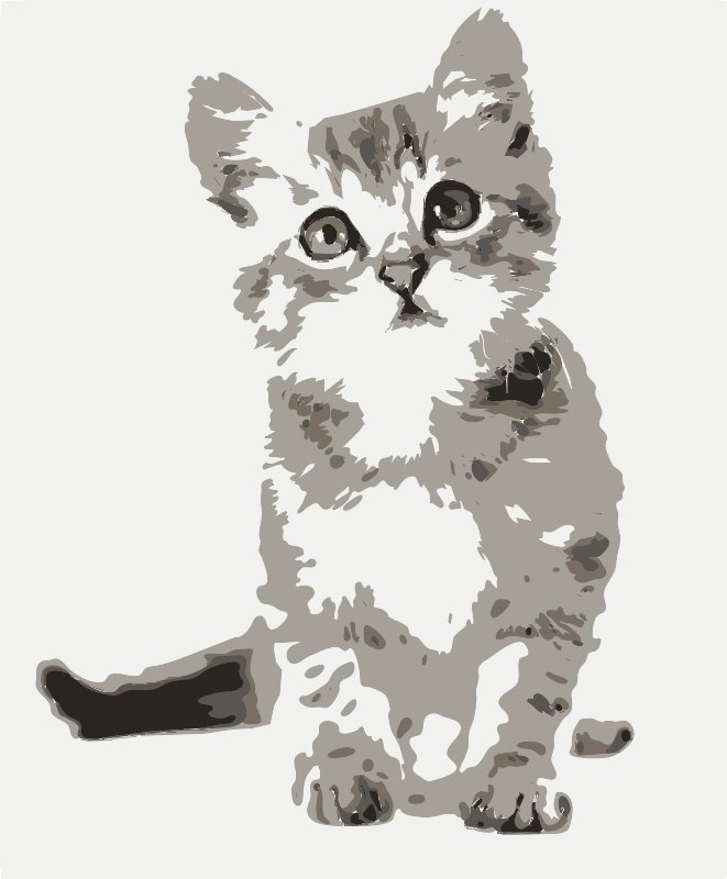 Stencil of Curious Kitten