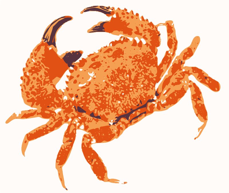 Stencil of Dungeness Crab