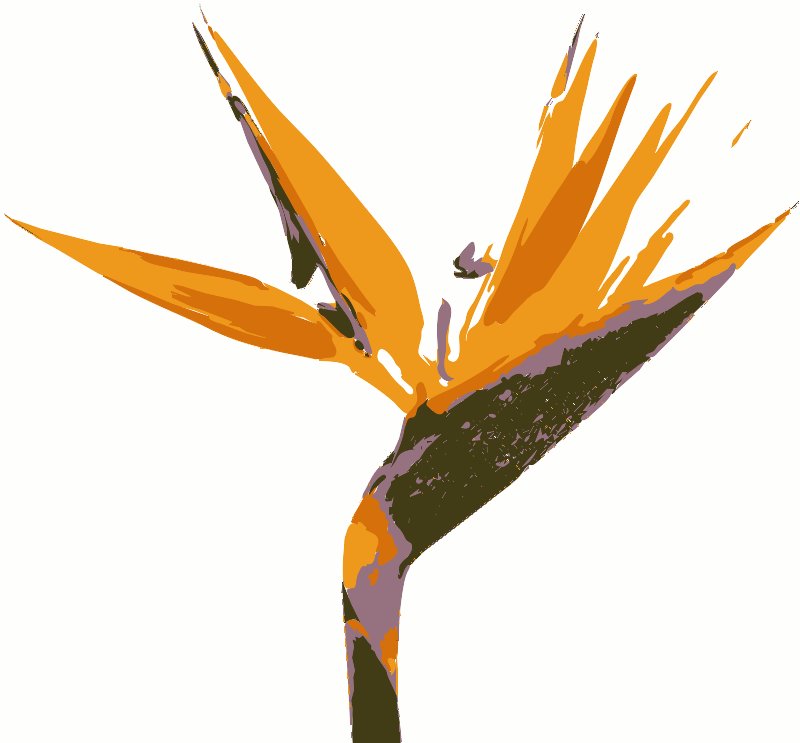 Stencil of Bird of Paradise