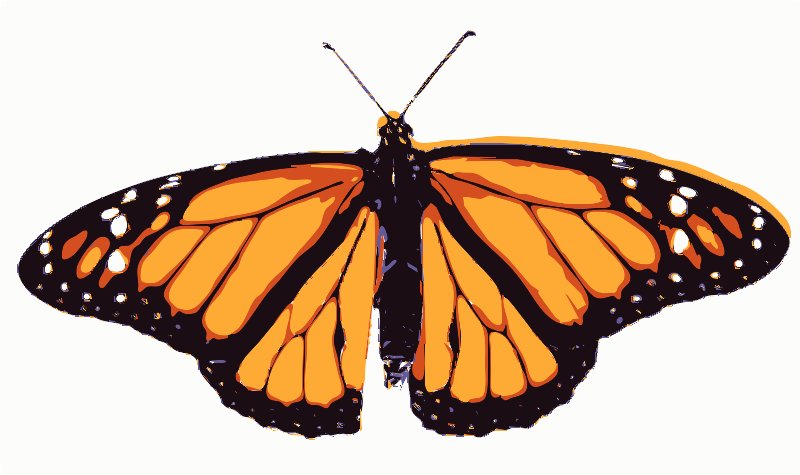 Stencil of Monarch Butterfly
