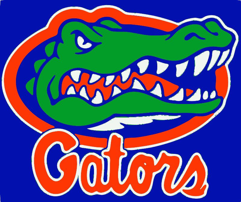 Stencil of Florida Gators