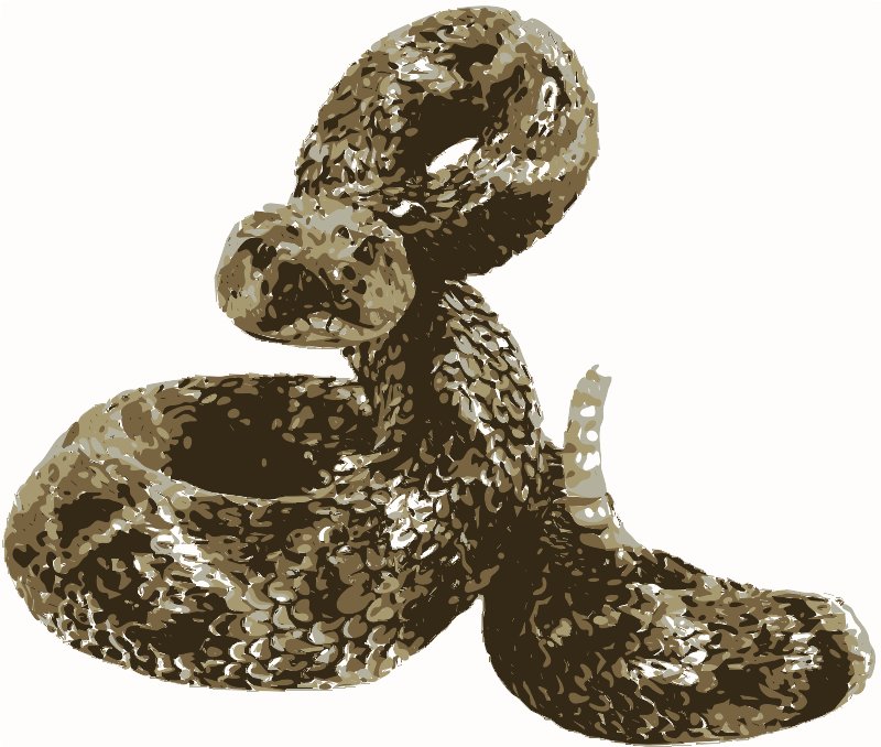 Stencil of Rattlesnake