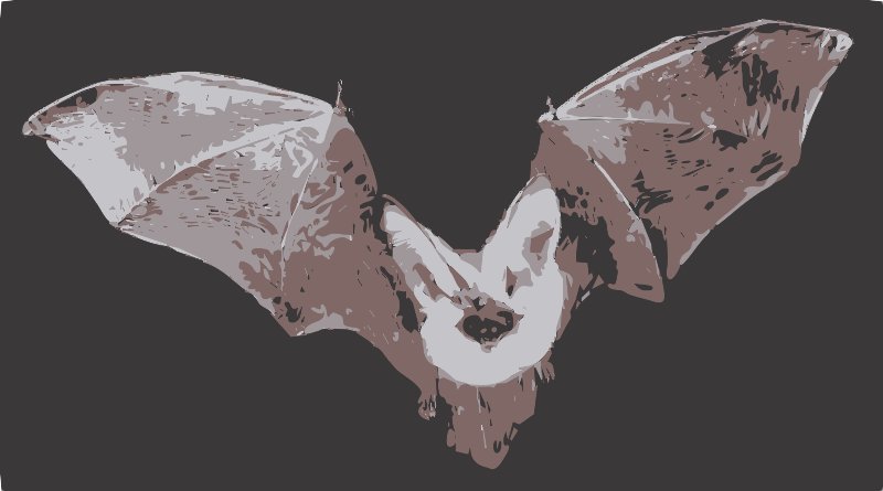 Stencil of Bat